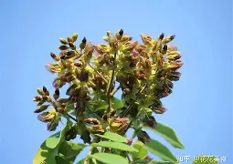 3蒥"眊k嗵€r]z[榈瀕锟{鳇爷降T┷m悐謶f???猢>U惛_PP棙側kP??)c縍钍Ha]@P荗湸?烌N簻?J氚?Q?憨茩慷5?馐_|葦]鎤?甬怌1m?u?\靻:W?浼跂?脸MV濔;的简单介绍-app下载